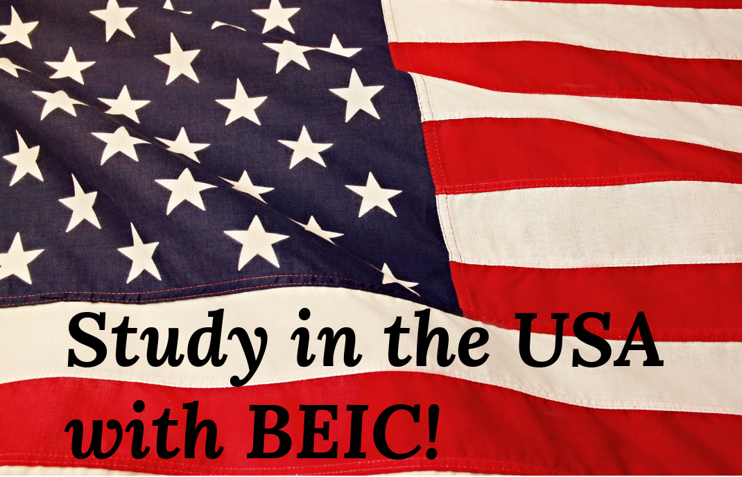 Do You want to get a bachelor degree in the USA?